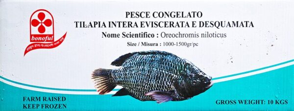 Bonoful tilapia gutted and scaled (1000-1500g) 10Kg
