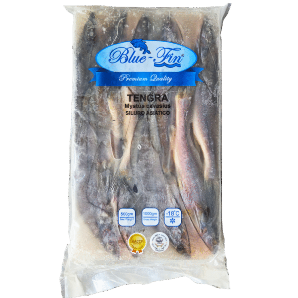 Tengra Whole 6-7"UP 500g